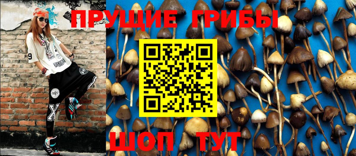 Псилоцибиновые грибы Psilocybine cubensis  Псилоцибиновые грибы GOLDEN TEACHER  Фурманов  Вход с VPN 