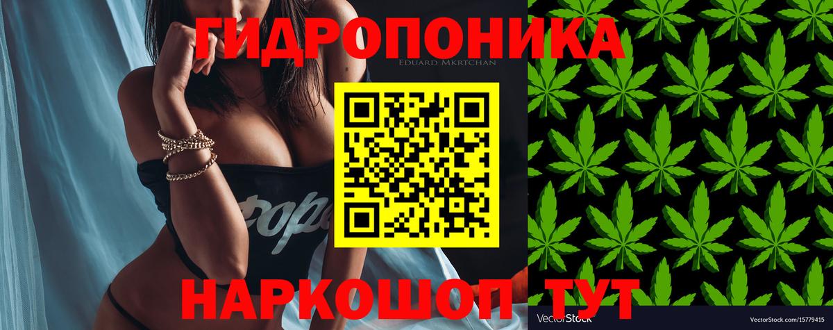 Конопля семена Фурманов